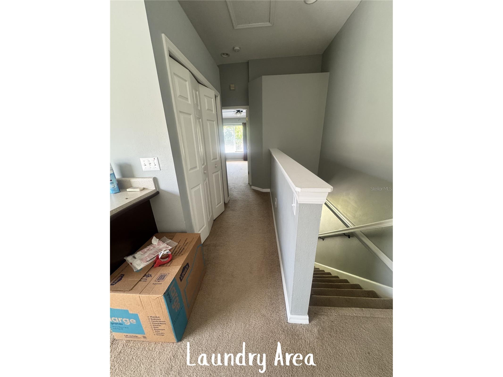 11253 Windsor Place Circle Tampa FL 33626 TB8485587 image32