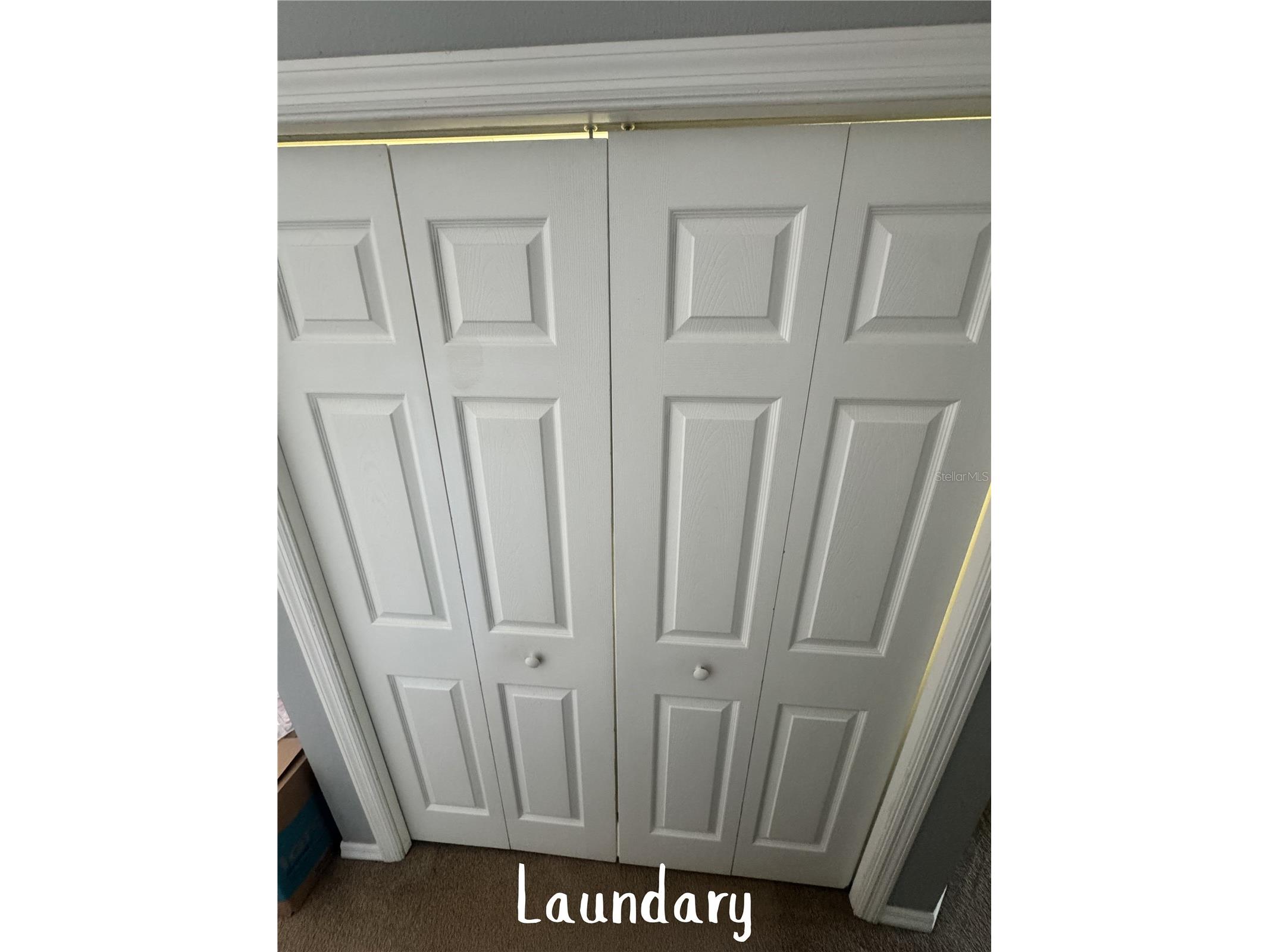 11253 Windsor Place Circle Tampa FL 33626 TB8485587 image33