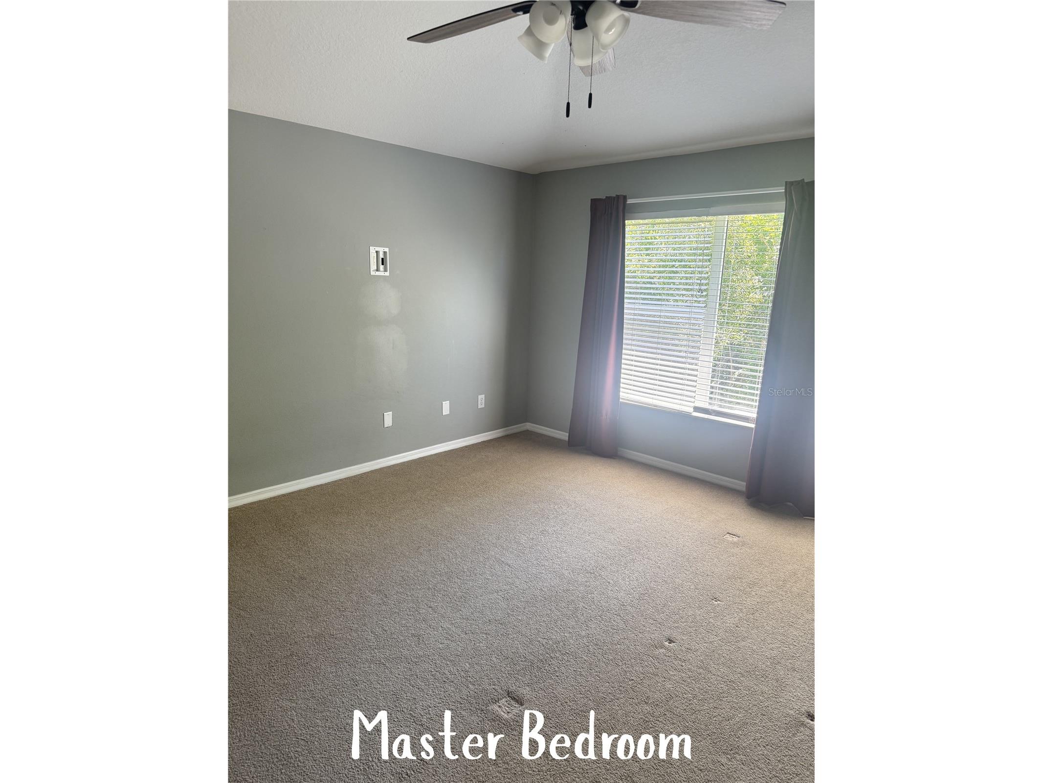 11253 Windsor Place Circle Tampa FL 33626 TB8485587 image39