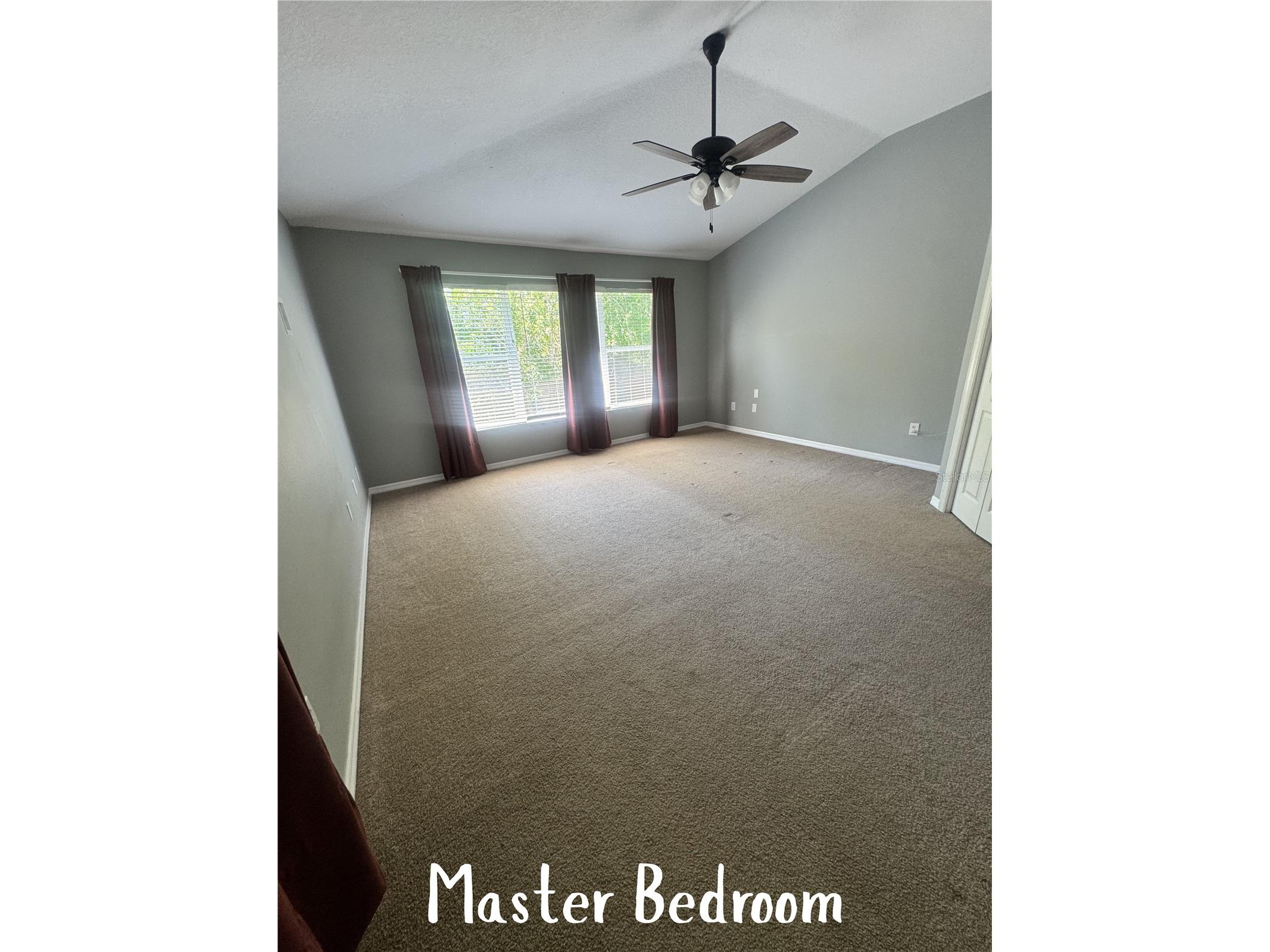 11253 Windsor Place Circle Tampa FL 33626 TB8485587 image42