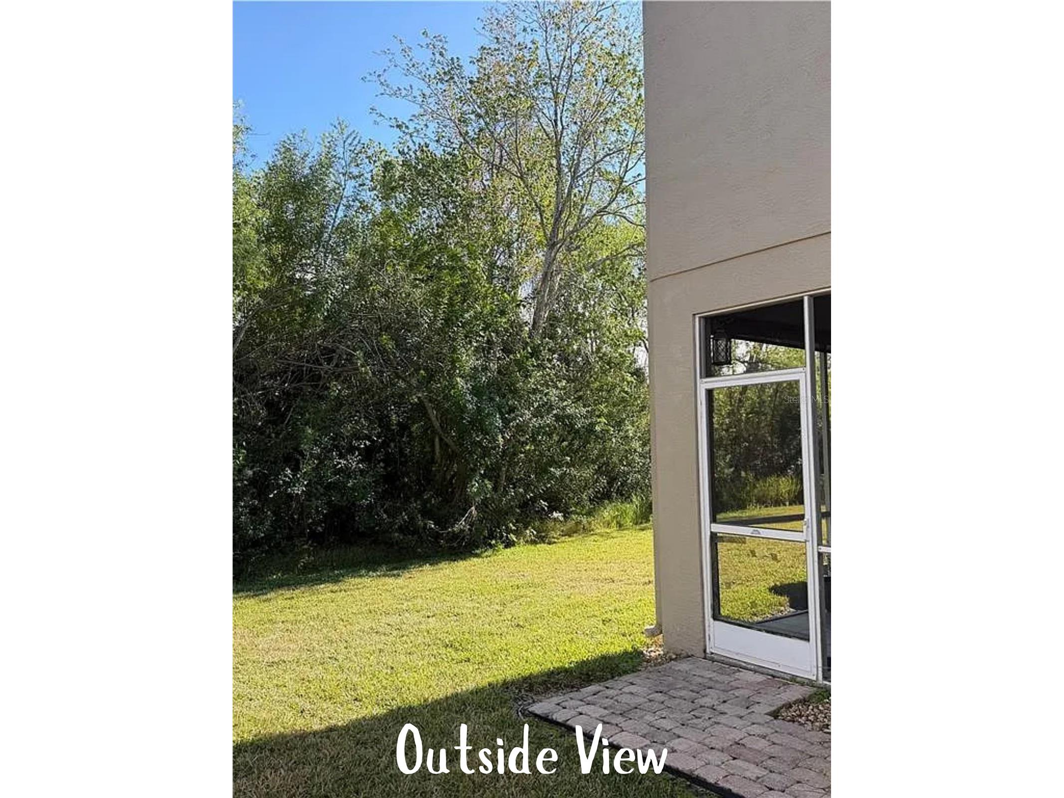 11253 Windsor Place Circle Tampa FL 33626 TB8485587 image45
