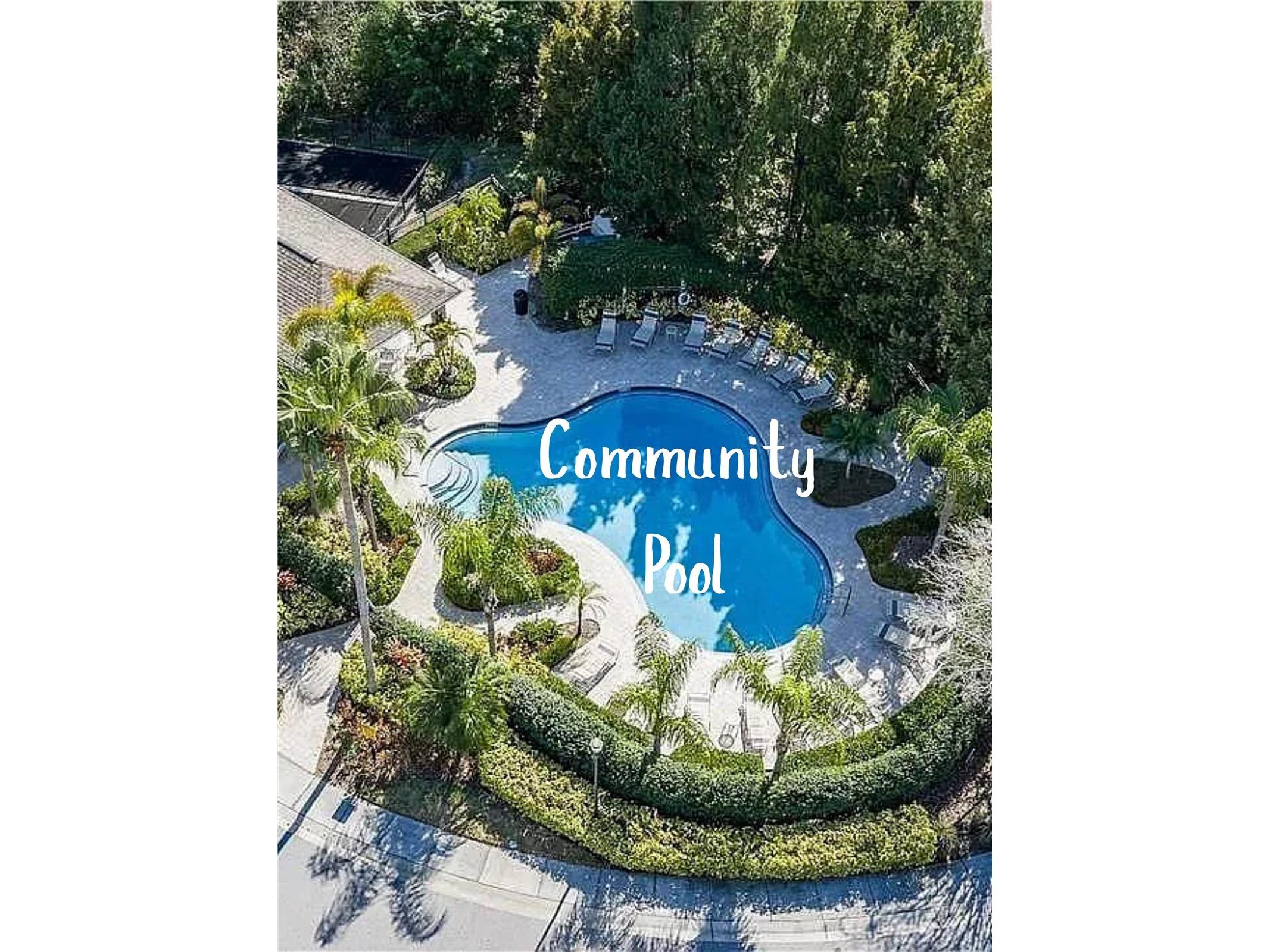 11253 Windsor Place Circle Tampa FL 33626 TB8485587 image50