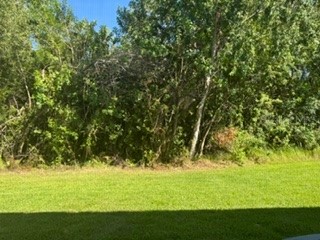11253 Windsor Place Circle Tampa FL 33626 TB8525297 image16