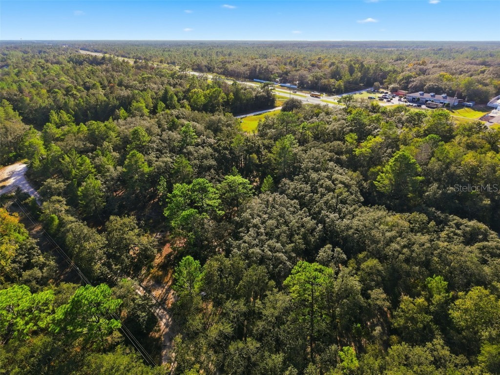 11254 Commercial Way Weeki Wachee FL 34614 W7880645 image4