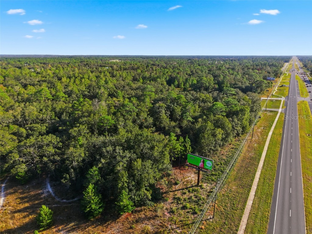 11254 Commercial Way Weeki Wachee FL 34614 W7880645 image7