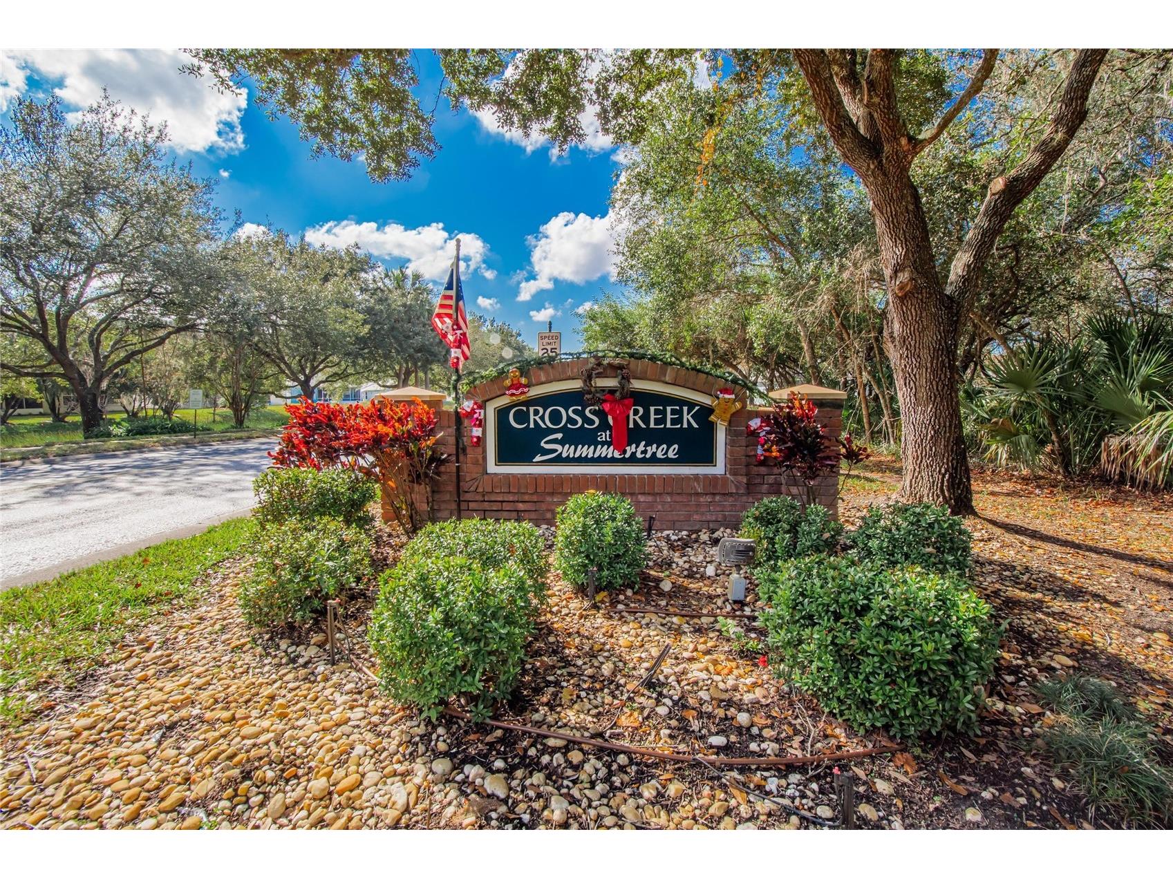 11254 Mollymawk Court New Port Richey FL 34654 TB8459762 image39