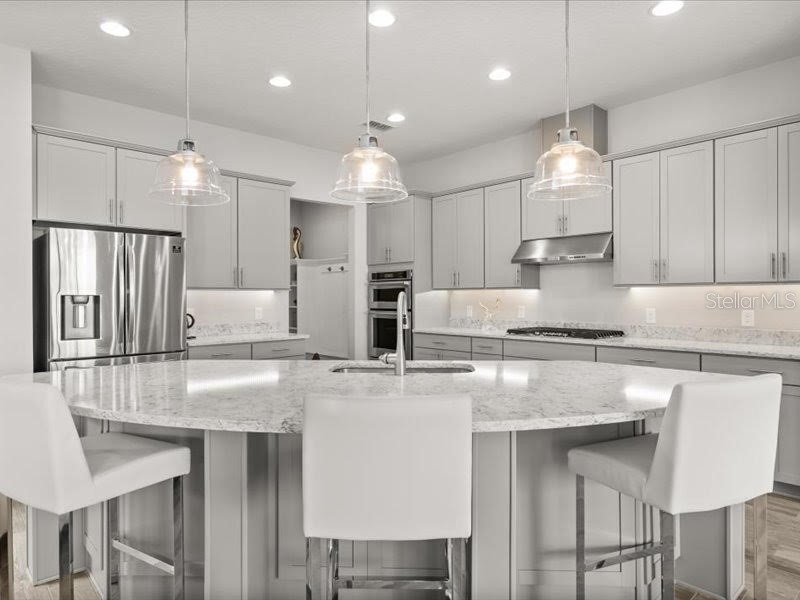 11256 Lemon Lake Boulevard Orlando FL 32836 - Ruby Lake O6366645 image18