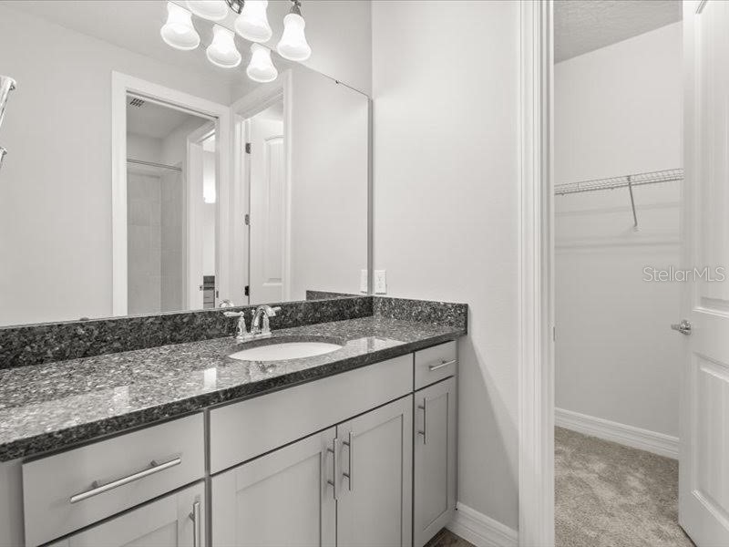 11256 Lemon Lake Boulevard Orlando FL 32836 - Ruby Lake O6366645 image50