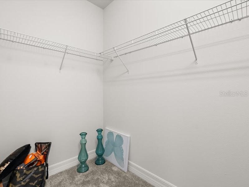 11256 Lemon Lake Boulevard Orlando FL 32836 - Ruby Lake O6366645 image51