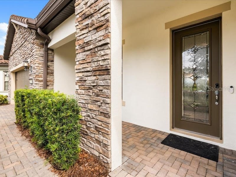 11256 Lemon Lake Boulevard Orlando FL 32836 - Ruby Lake O6366645 image66