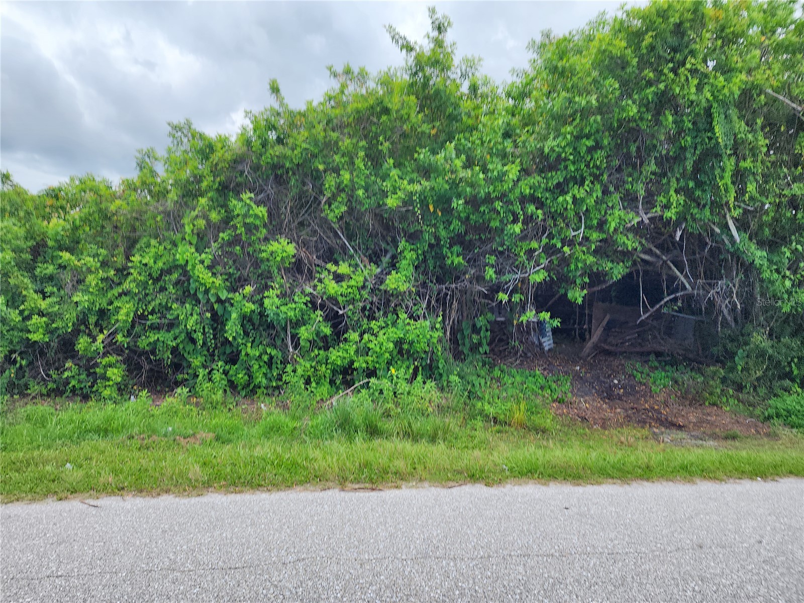 11256 Pendleton Avenue Englewood FL 34224 D6147779 image12