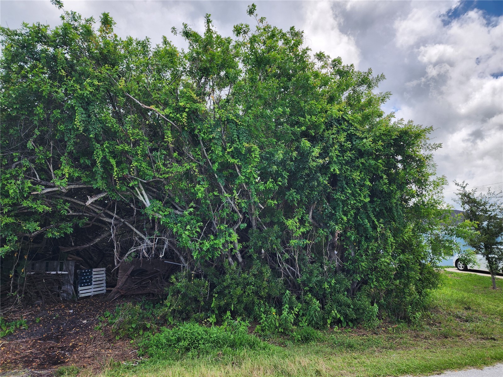 11256 Pendleton Avenue Englewood FL 34224 D6147779 image15