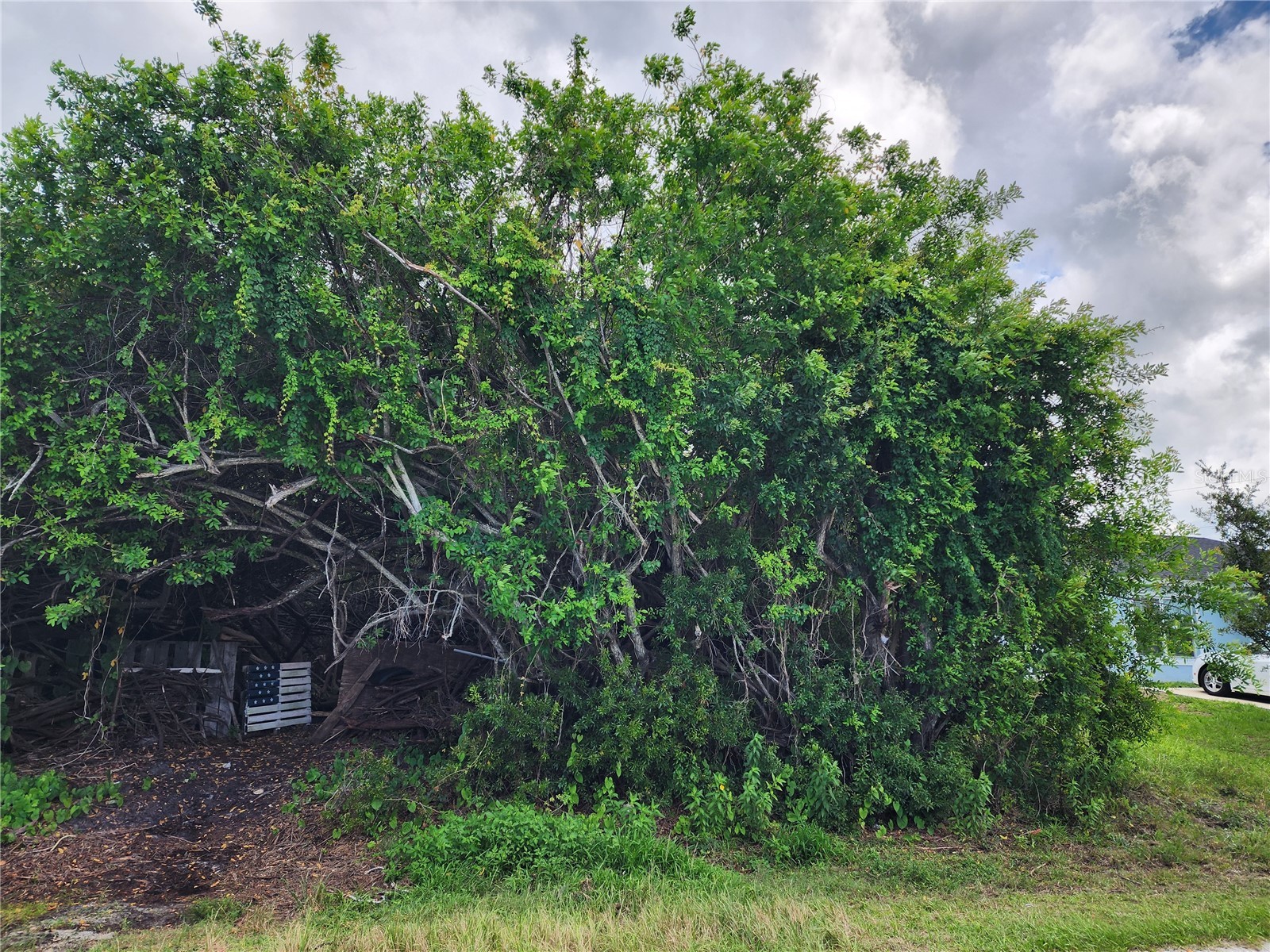 11256 Pendleton Avenue Englewood FL 34224 D6147779 image16