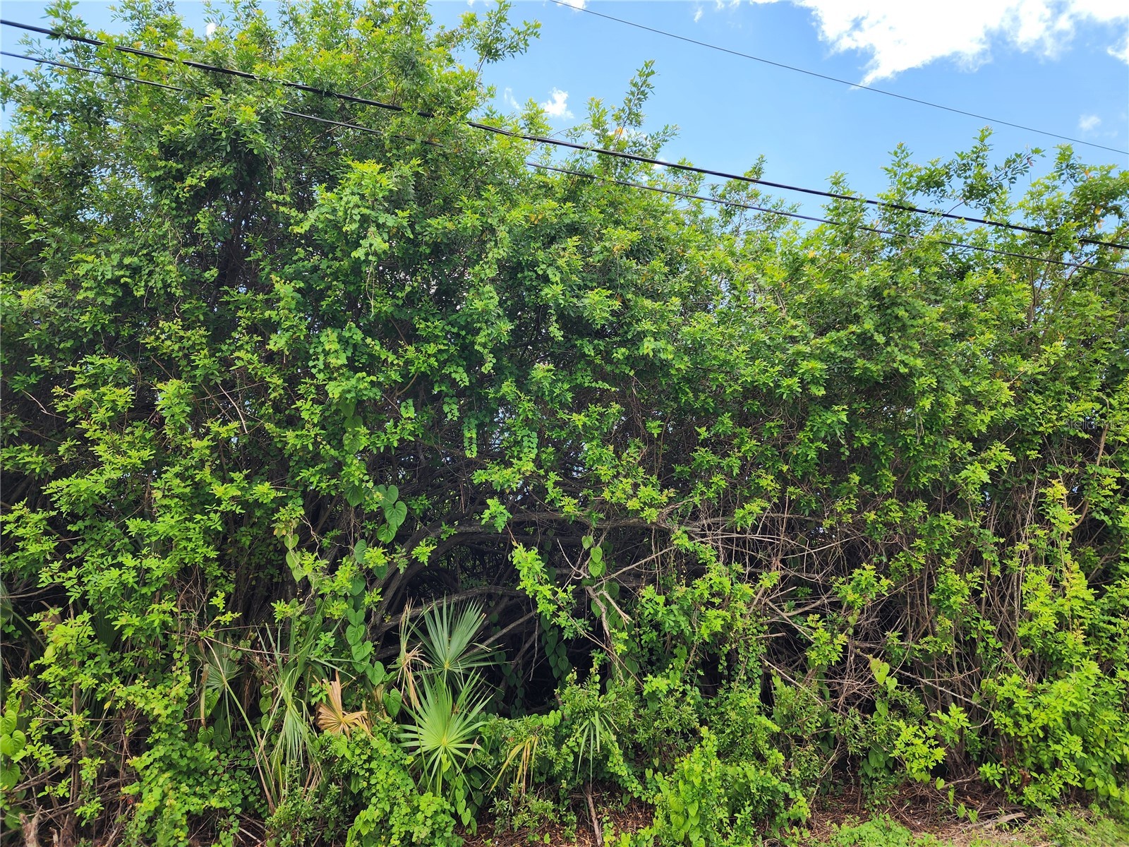 11256 Pendleton Avenue Englewood FL 34224 D6147779 image24