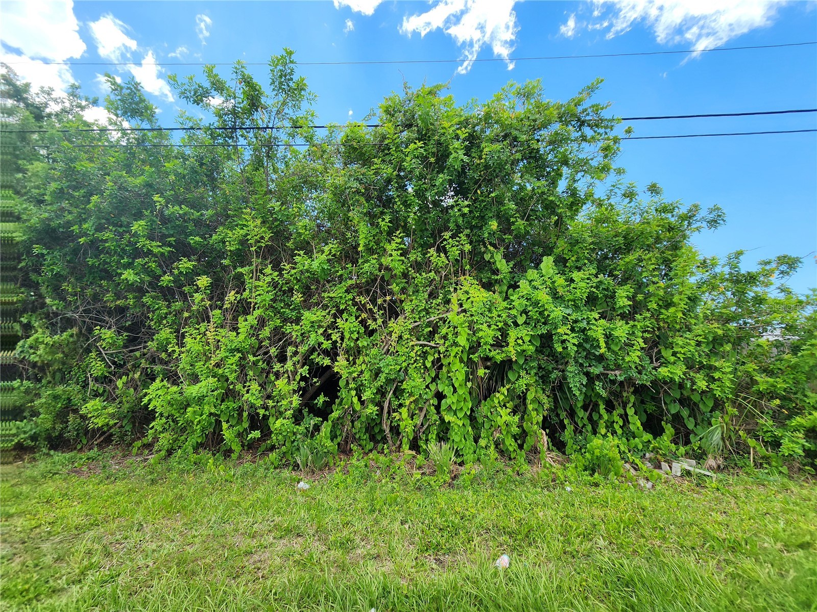 11256 Pendleton Avenue Englewood FL 34224 D6147779 image26