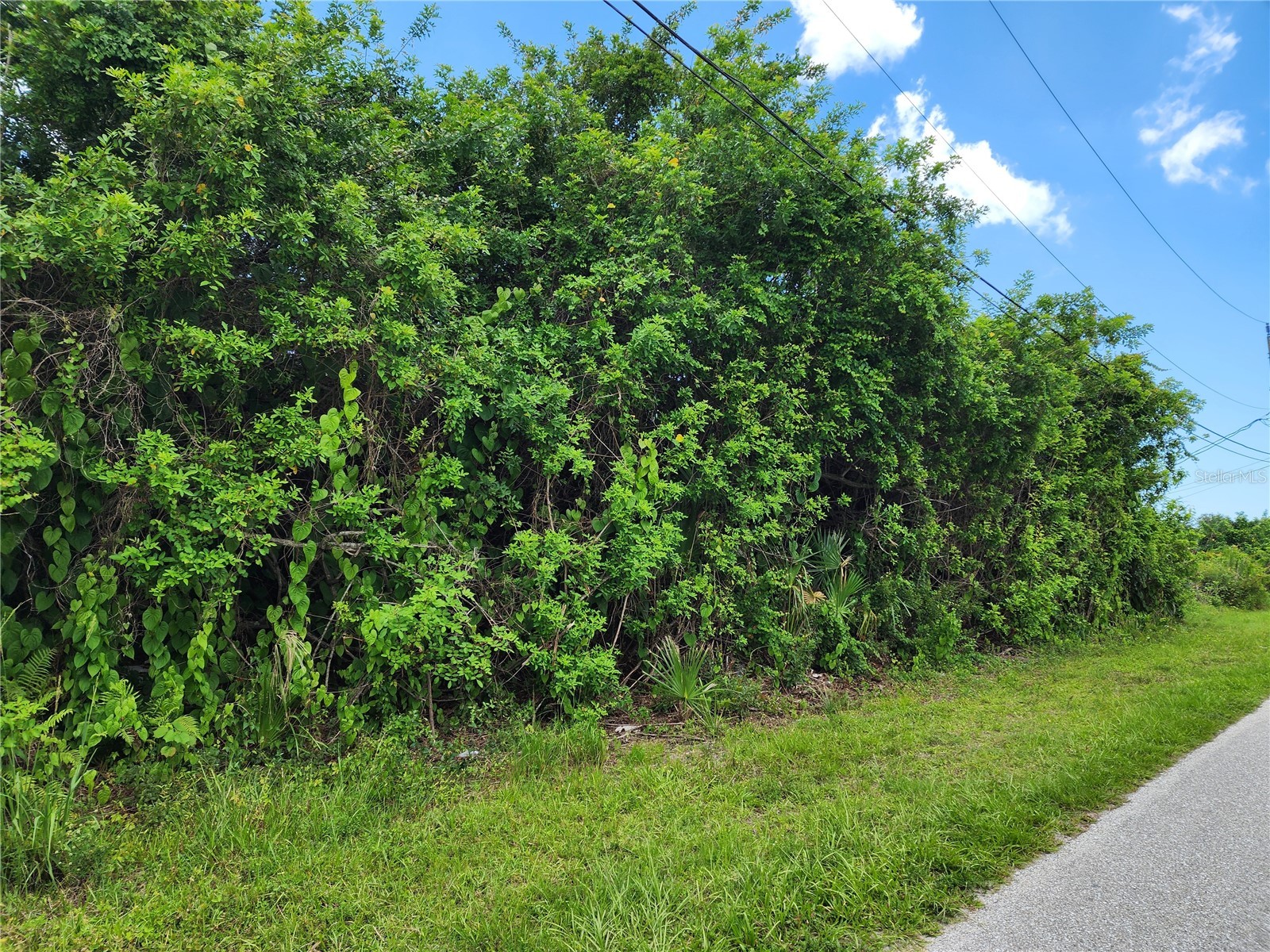 11256 Pendleton Avenue Englewood FL 34224 D6147779 image5