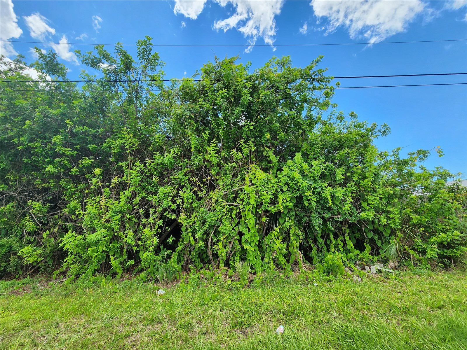 11256 Pendleton Avenue Englewood FL 34224 D6147779 image9