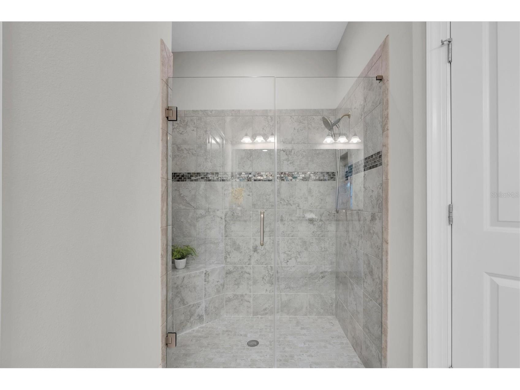 11257 Callisia Drive Odessa FL 33556 W7884917 image19