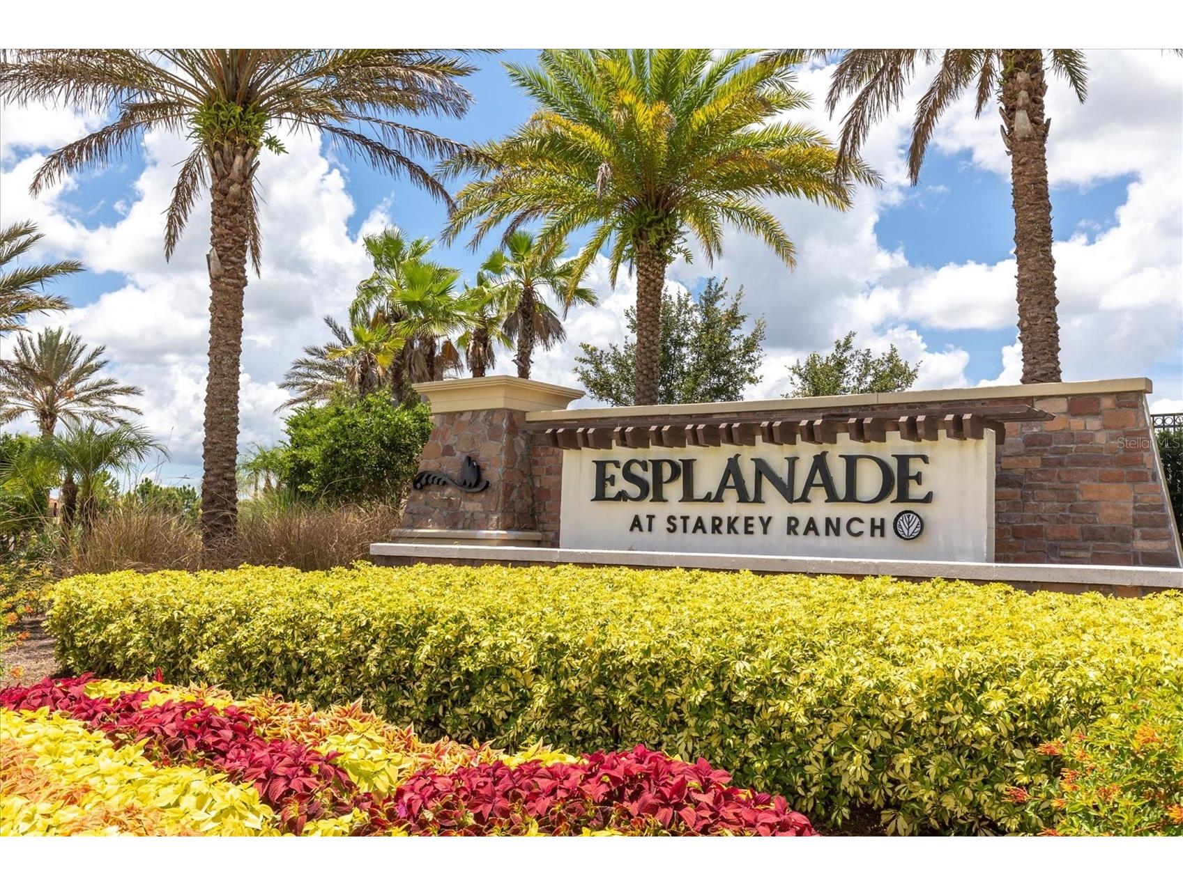 11257 Callisia Drive Odessa FL 33556 W7884917 image2