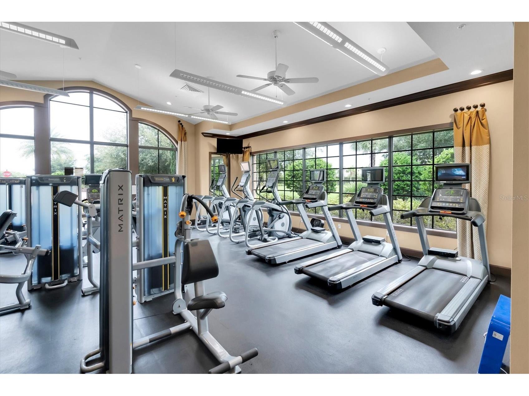 11257 Callisia Drive Odessa FL 33556 W7884917 image39