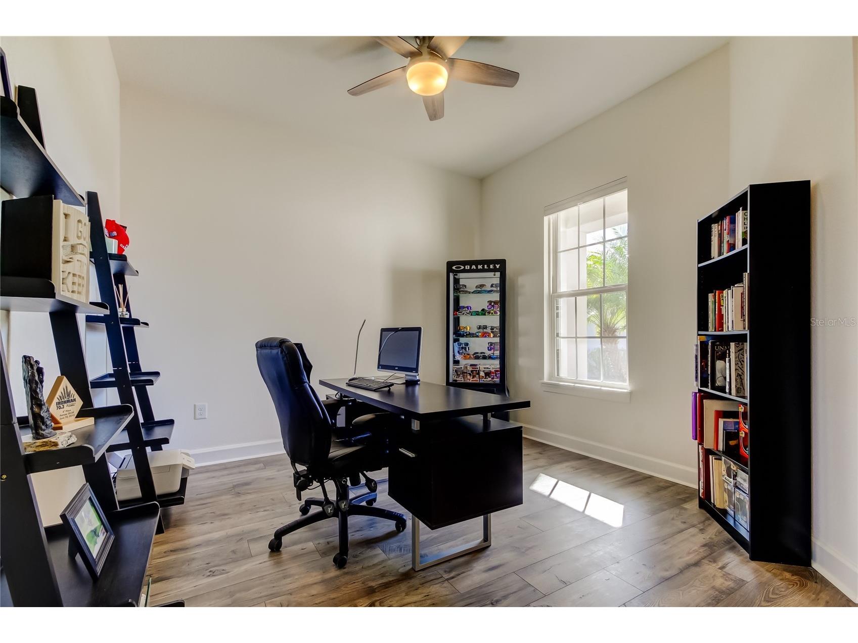11257 Egeria Drive Odessa FL 33556 TB8486981 image12