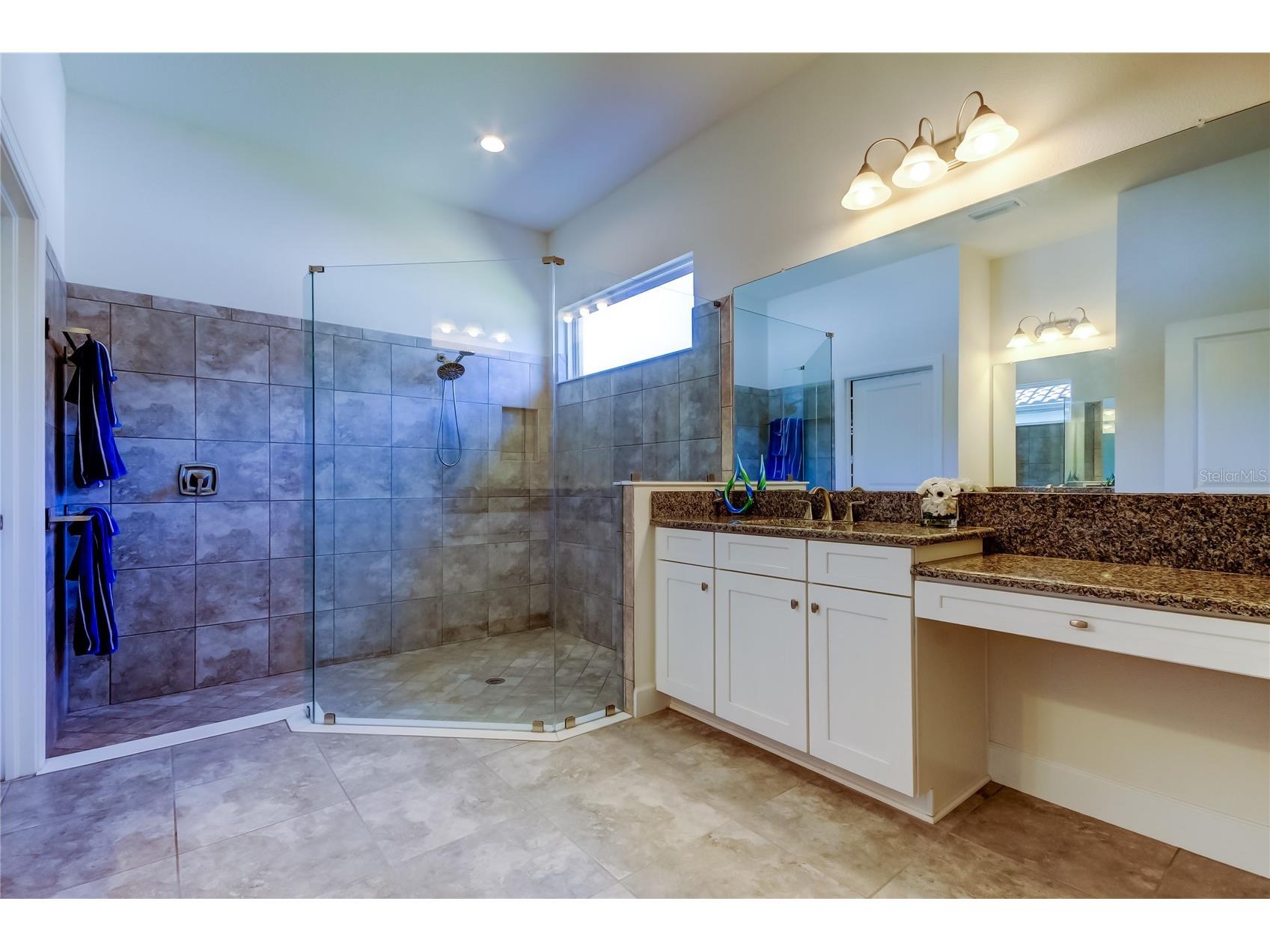 11257 Egeria Drive Odessa FL 33556 TB8486981 image15