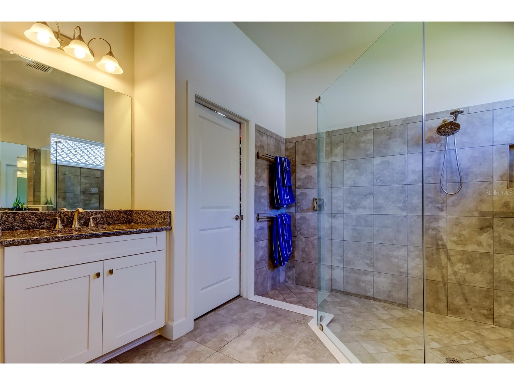 11257 Egeria Drive Odessa FL 33556 TB8486981 image16
