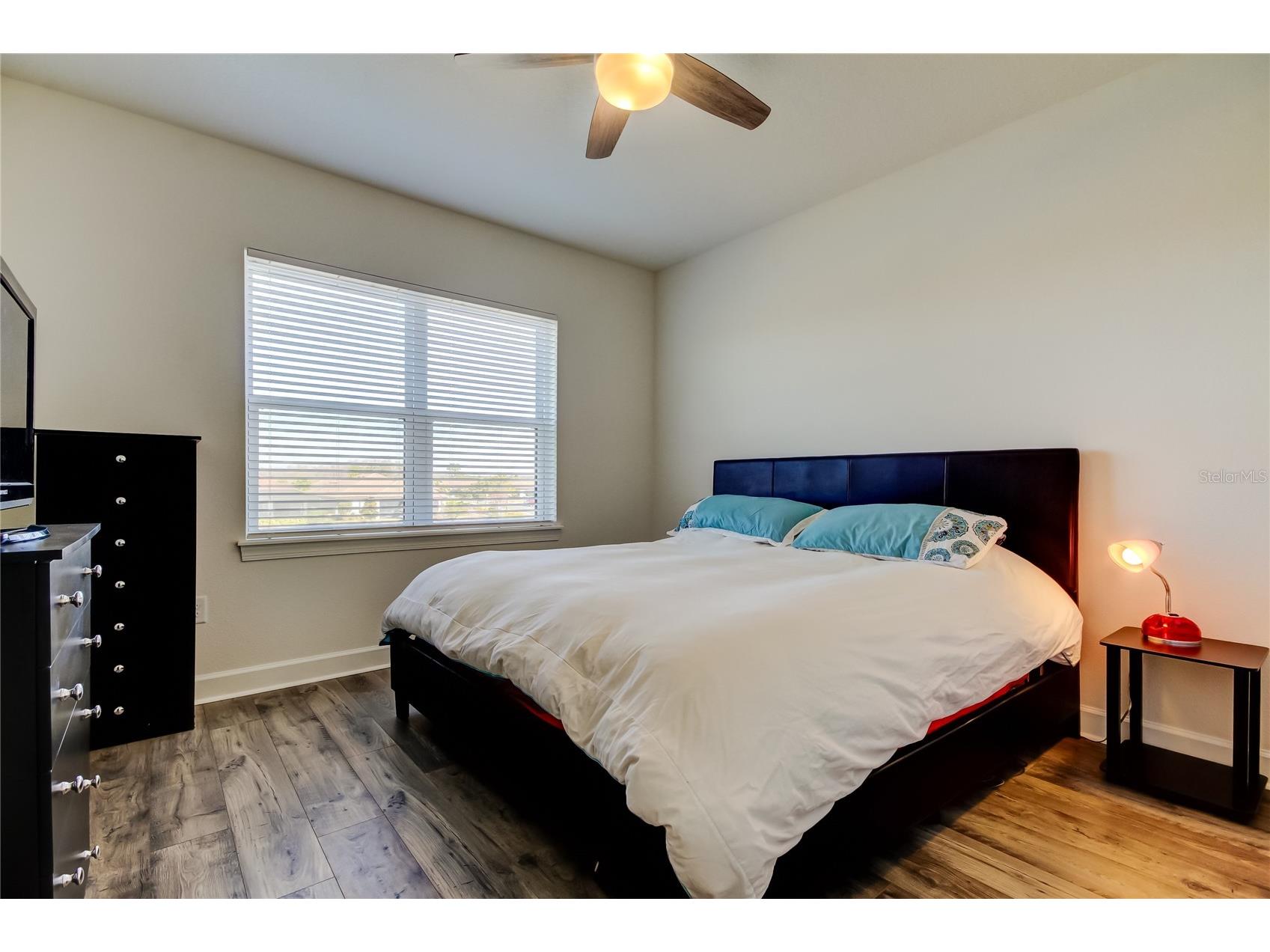 11257 Egeria Drive Odessa FL 33556 TB8486981 image27