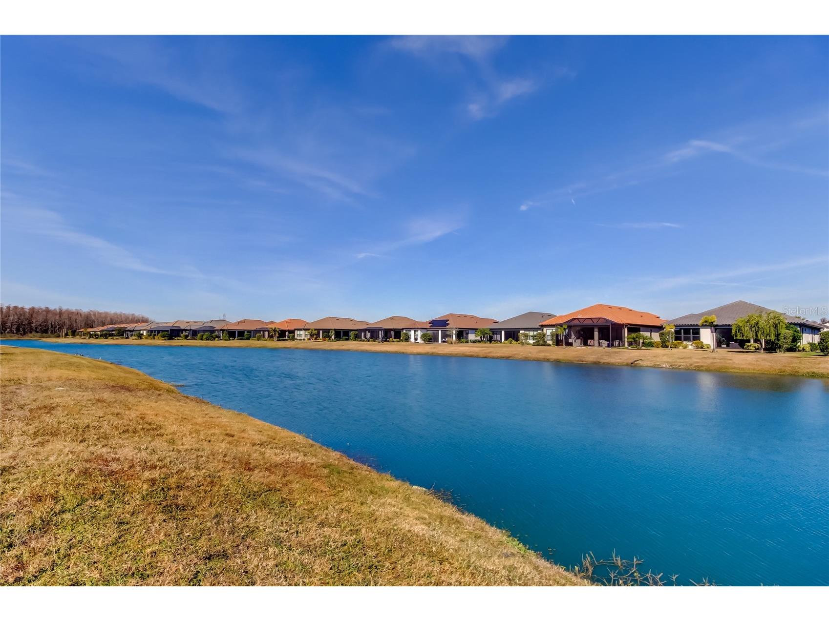 11257 Egeria Drive Odessa FL 33556 TB8486981 image33