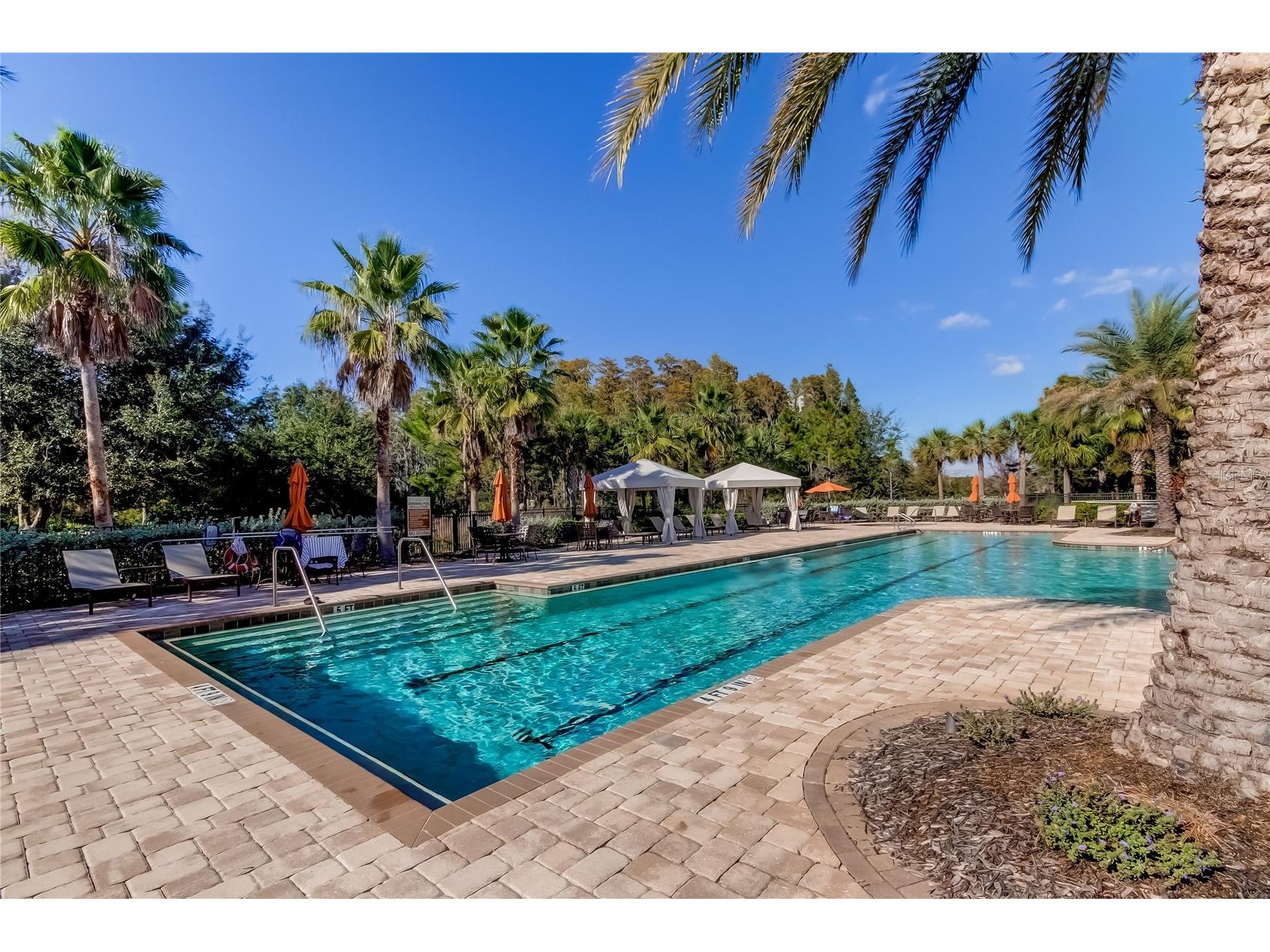 11257 Egeria Drive Odessa FL 33556 TB8486981 image38