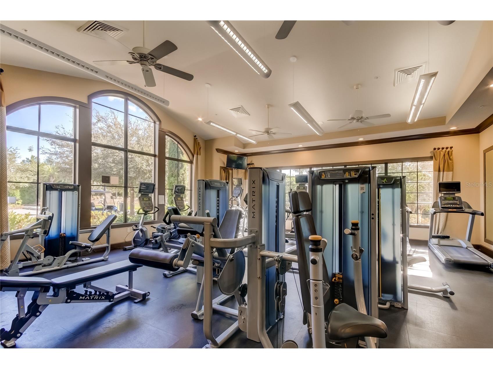 11257 Egeria Drive Odessa FL 33556 TB8486981 image50