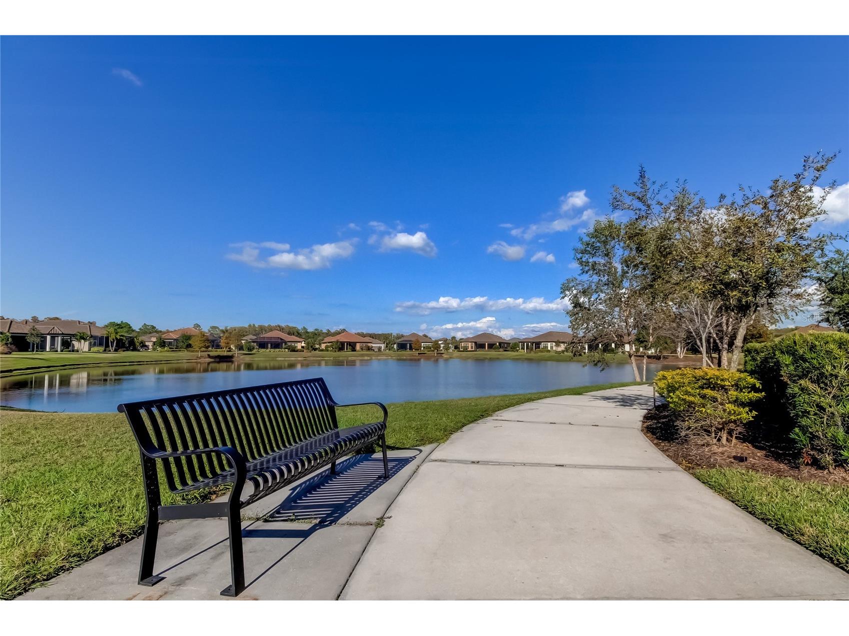 11257 Egeria Drive Odessa FL 33556 TB8486981 image53