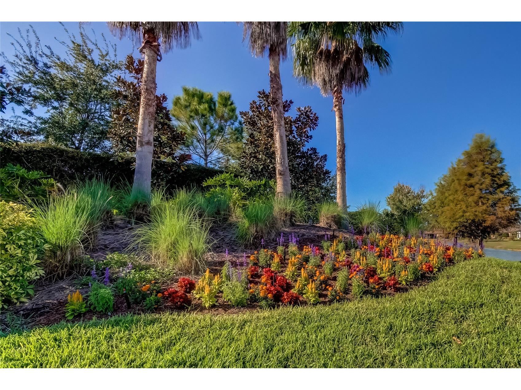 11257 Egeria Drive Odessa FL 33556 TB8486981 image55