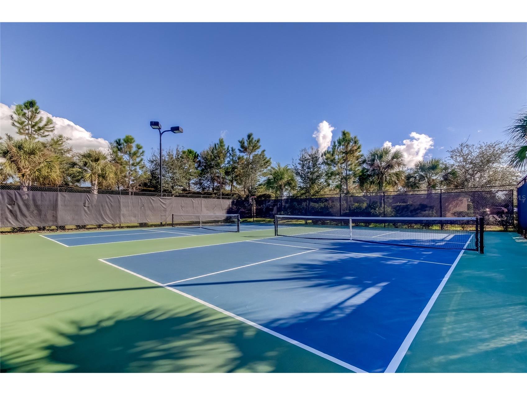 11257 Egeria Drive Odessa FL 33556 TB8486981 image56