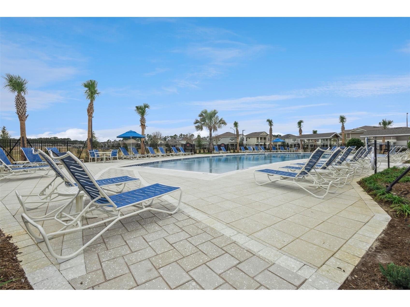 11259 Hollow Bay Drive Winter Garden FL 34787 O6419946 image56