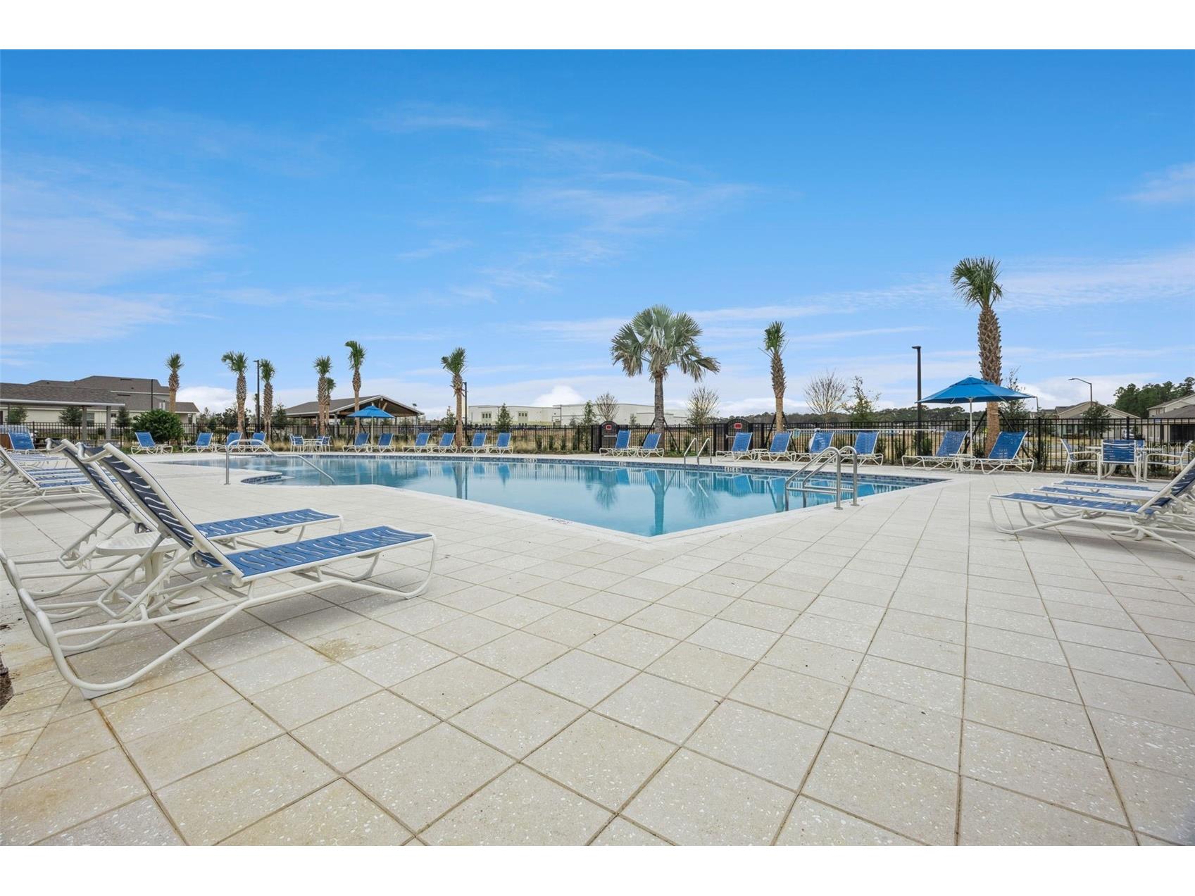 11259 Hollow Bay Drive Winter Garden FL 34787 O6419946 image57