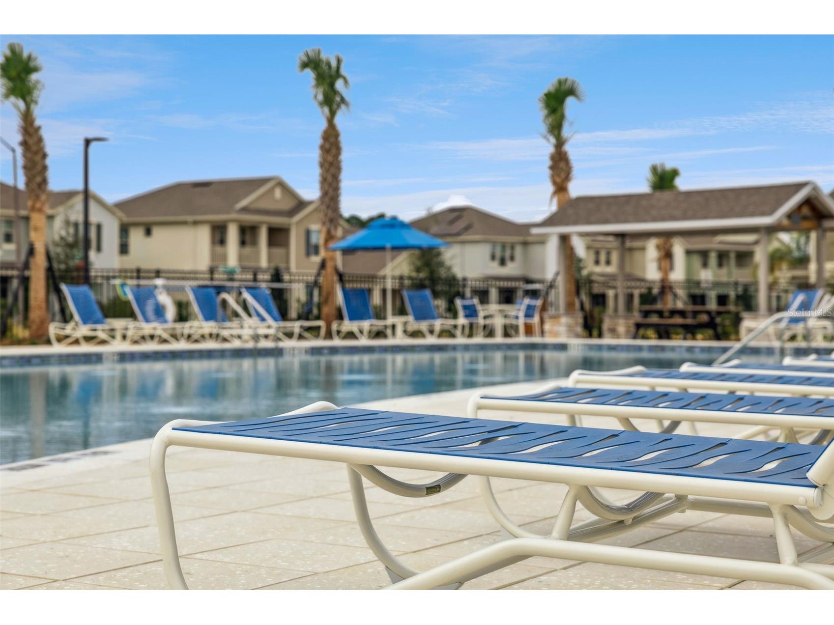 11259 Hollow Bay Drive Winter Garden FL 34787 O6419946 image58