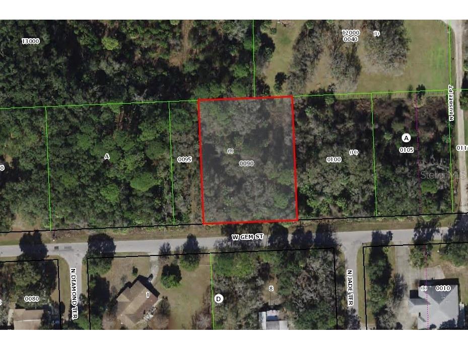 11259 W Gem Street Crystal River FL 34428 T3540565 image1