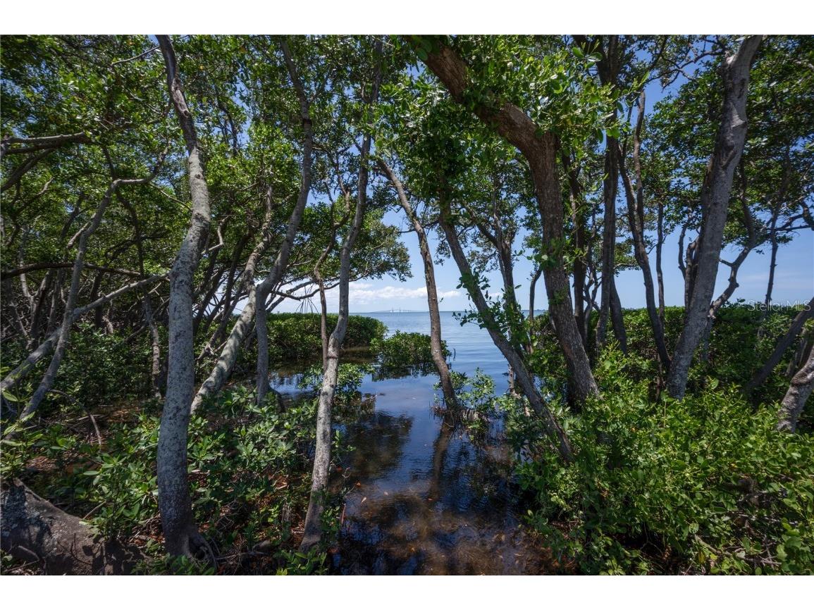 1125L Friendly Way S Saint Petersburg FL 33705 - TAMPA BAY TB8412305 image18