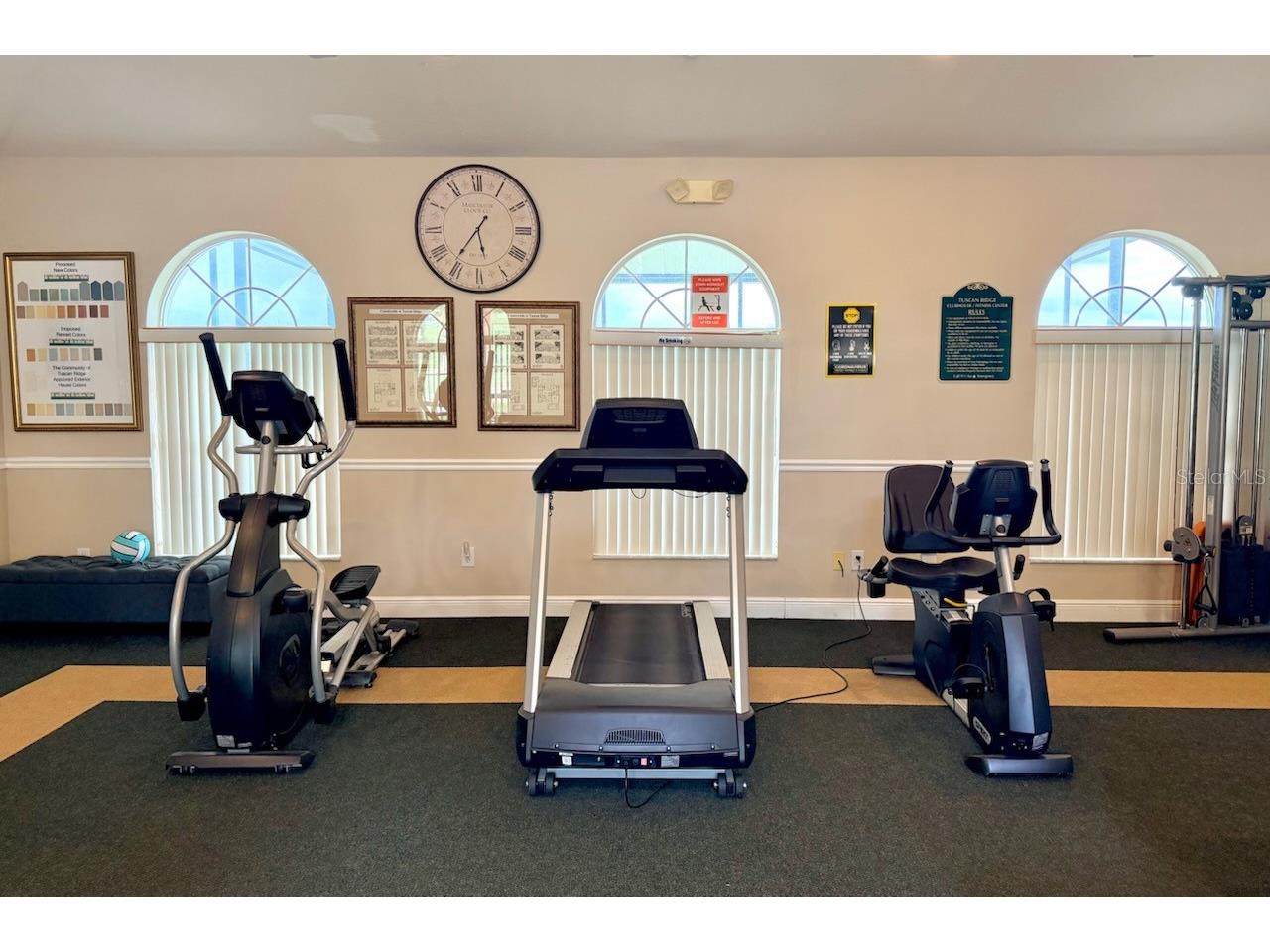 1126 Corvina Drive Davenport FL 33897 O6415280 image24