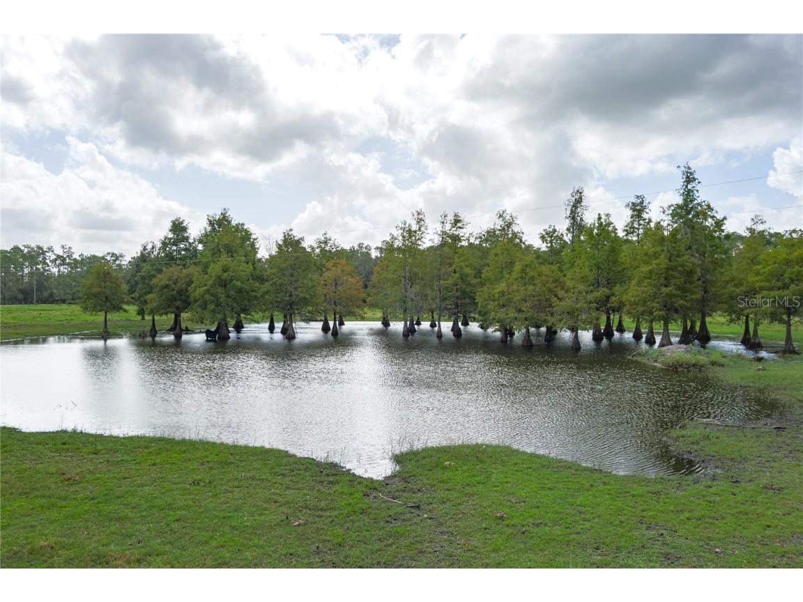 1126 County Road 665 Ona FL 33865 A4667224 image5