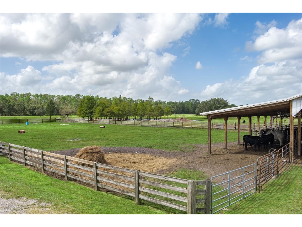 1126 County Road 665 Ona FL 33865 A4667224 image54