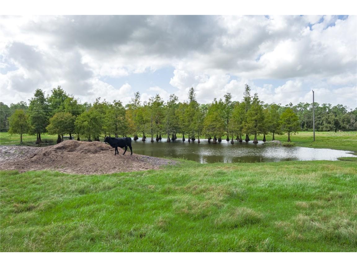 1126 County Road 665 Ona FL 33865 A4667224 image63