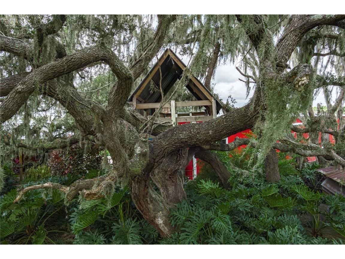 1126 County Road 665 Ona FL 33865 A4667224 image72