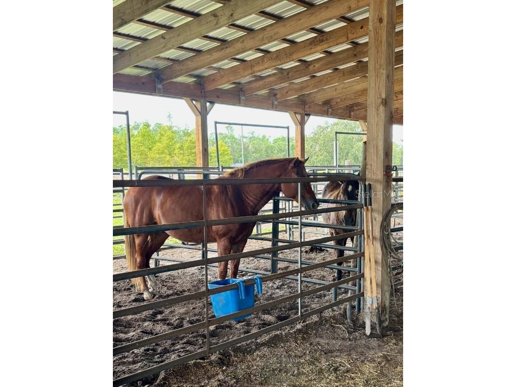 1126 County Road 665 Ona FL 33865 A4667224 image84