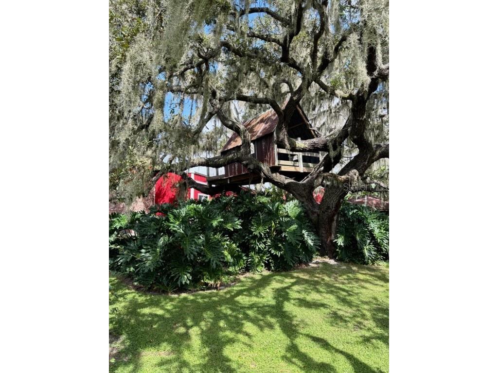 1126 County Road 665 Ona FL 33865 A4667224 image86