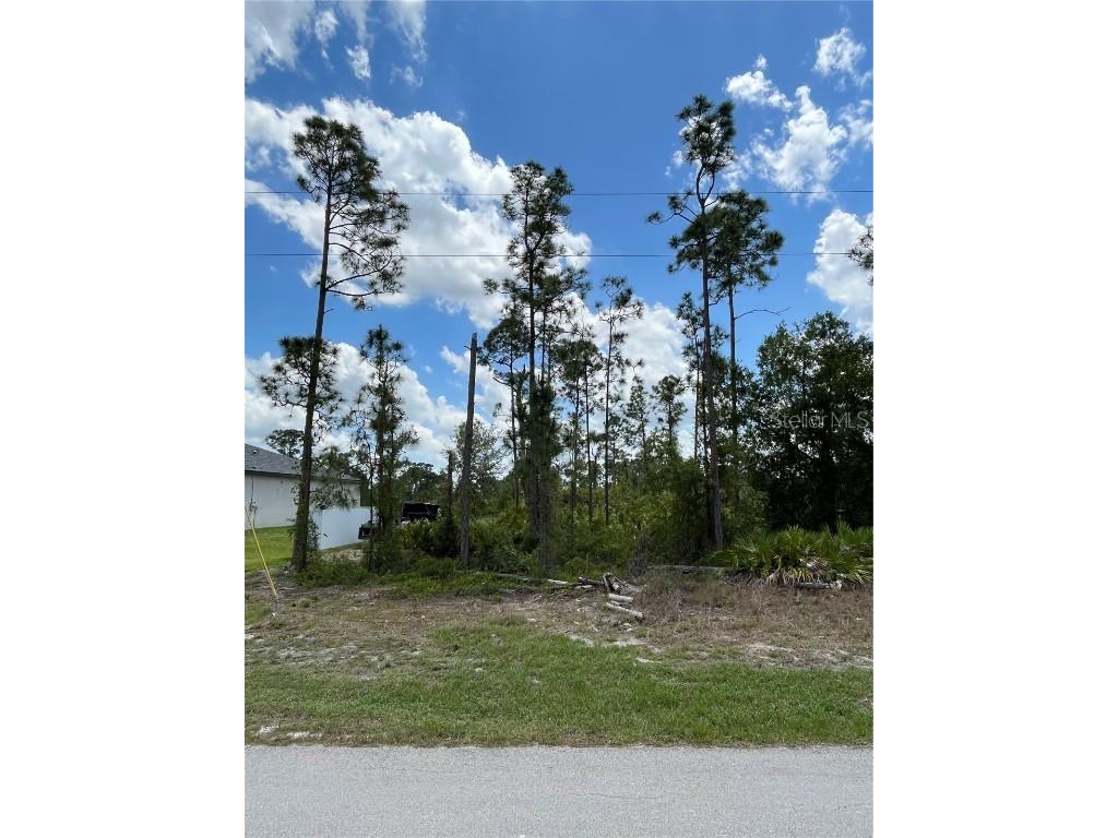 1126 Edelweiss Street E Lehigh Acres FL 33974 T3440470 image1