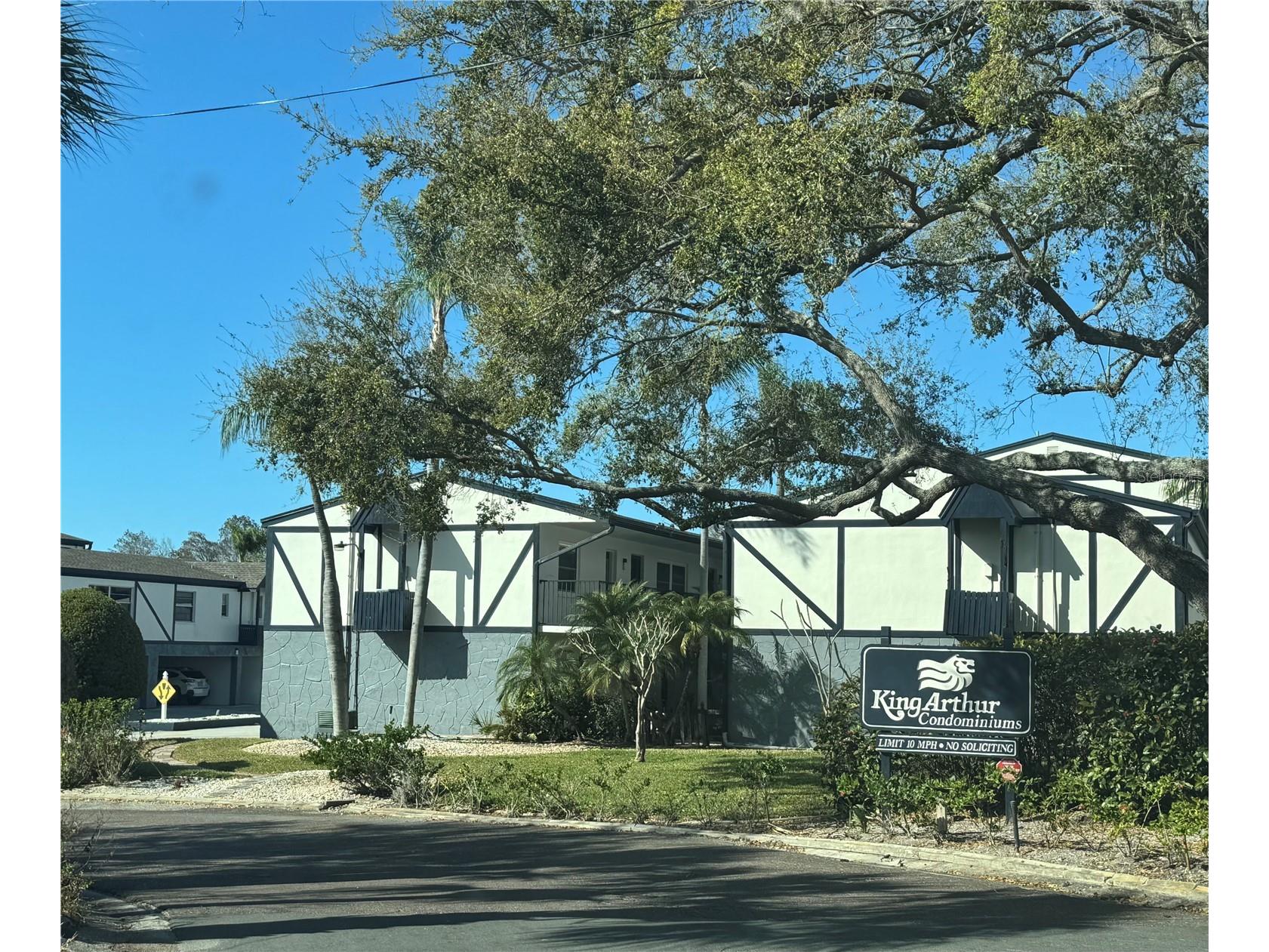 1126 King Arthur Court #413 Dunedin FL 34698 TB8497210 image1