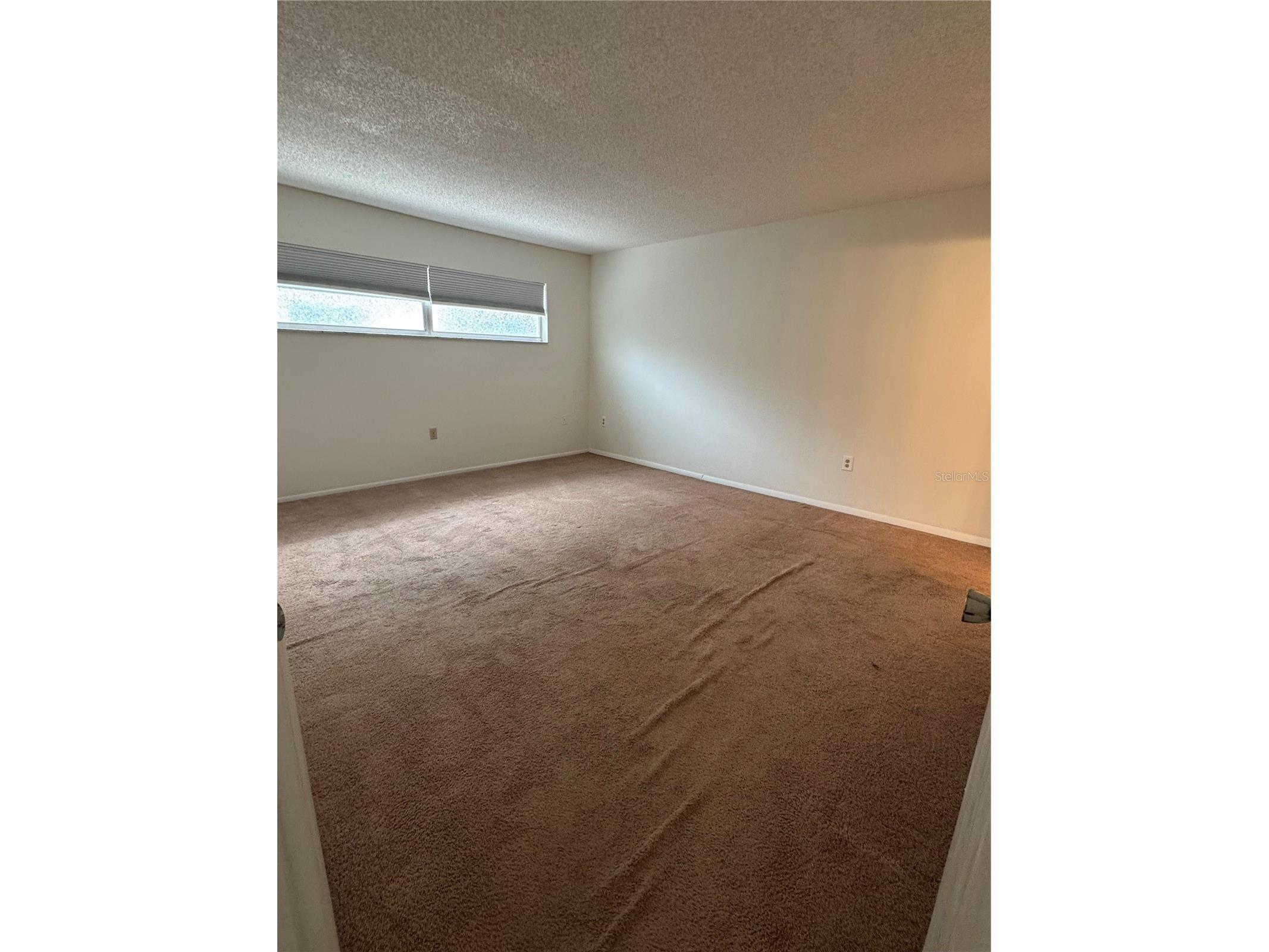 1126 King Arthur Court #413 Dunedin FL 34698 TB8497210 image4