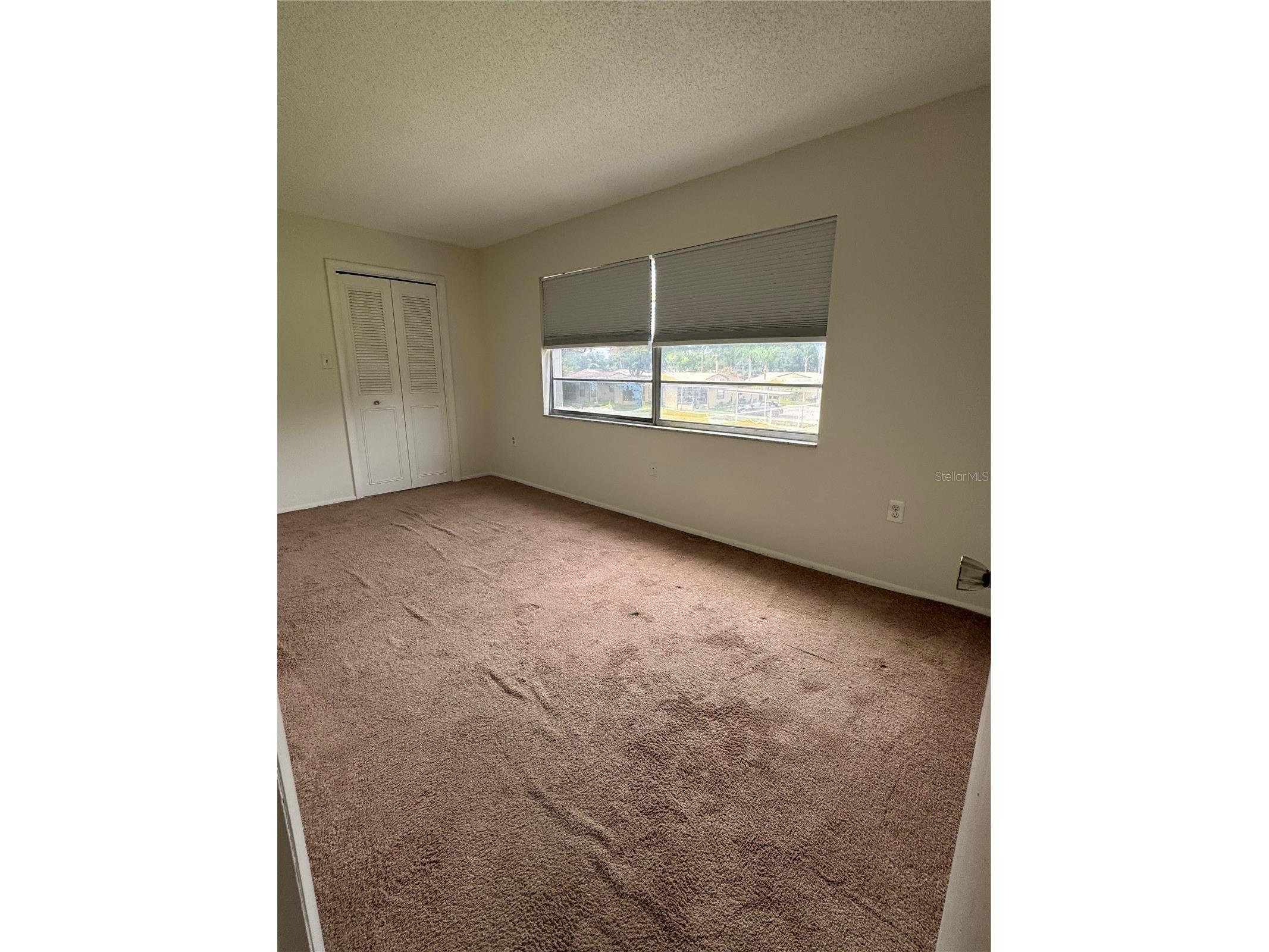 1126 King Arthur Court #413 Dunedin FL 34698 TB8497210 image6